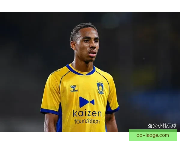 2025至2026赛季德甲转播权分成新方案分析与前景展望