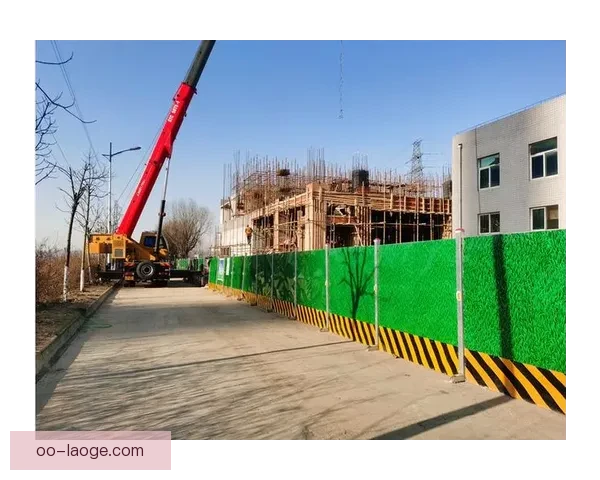 温哥华赛区2026世界杯启用零排放巴士推动绿色交通改革